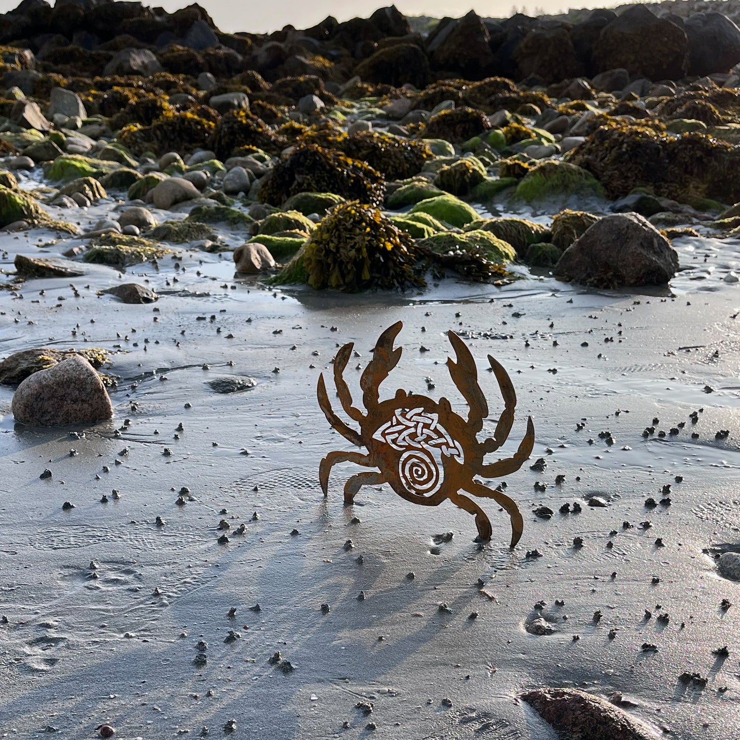 Native Irish Crab metal sculpture