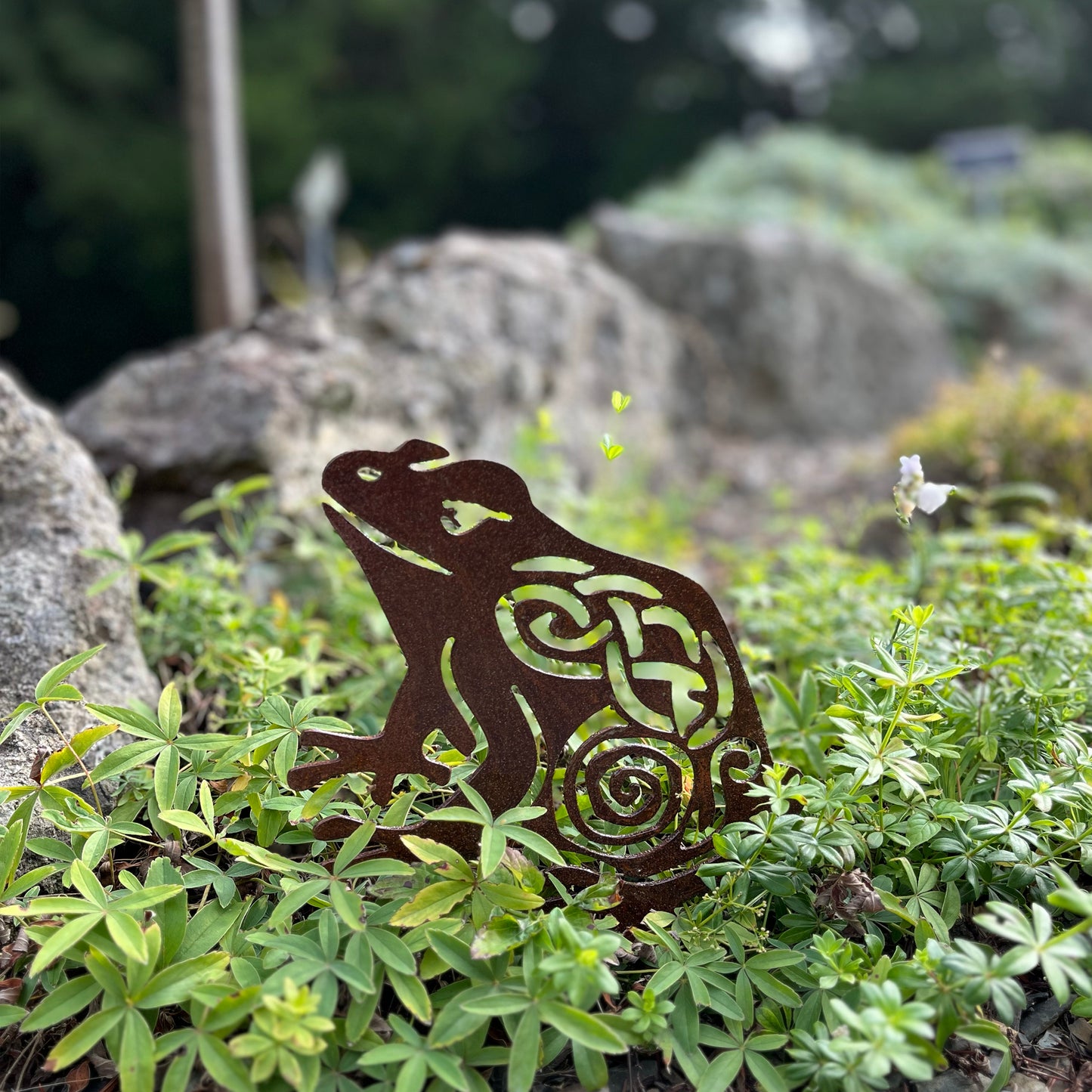 Native Wild Frog metal sculpture