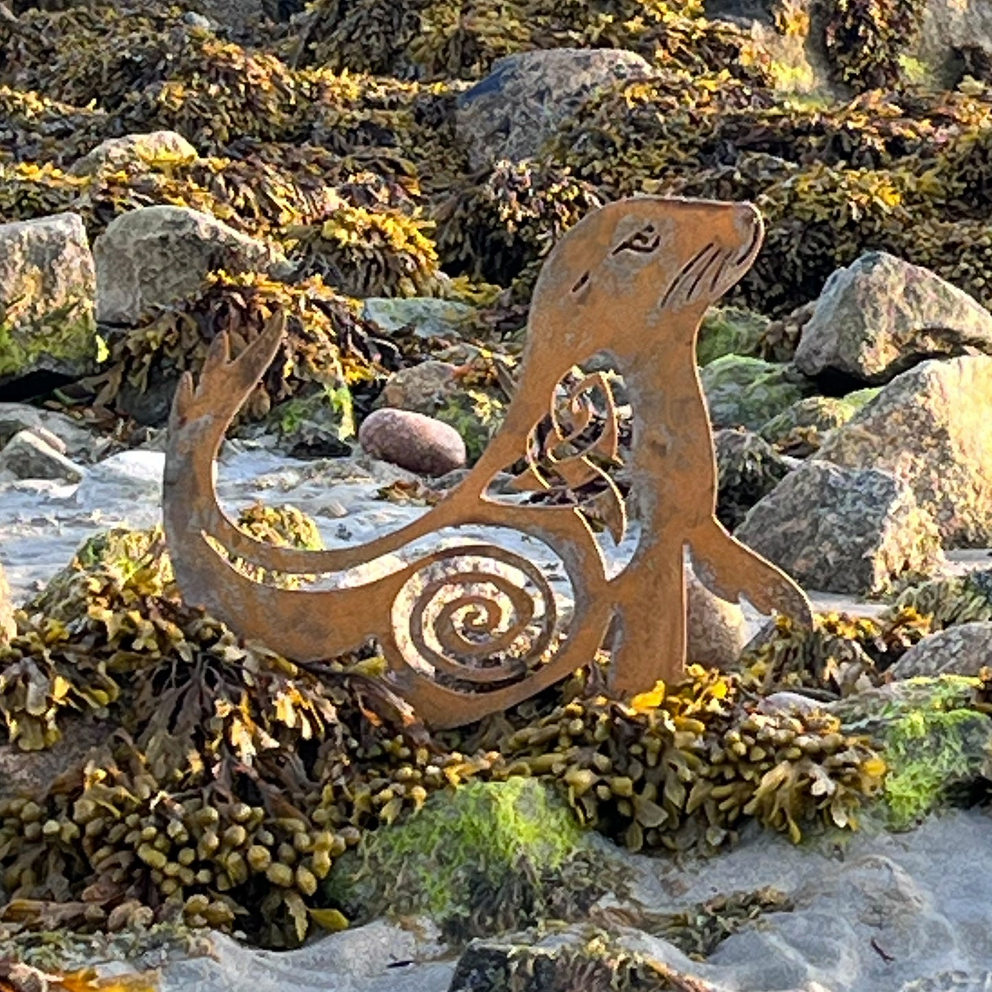 Wild Irish Seal metal sculpture